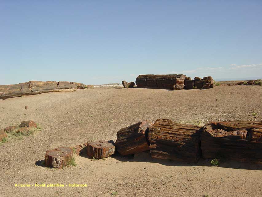 arizona - holbrook - petrified forest